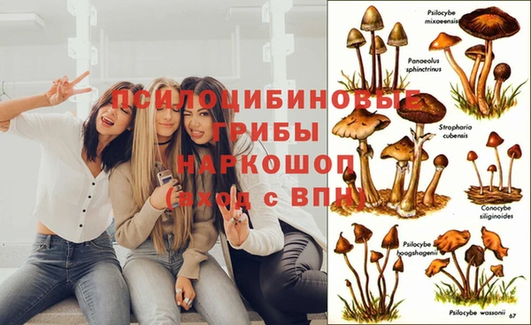 jwh Богородск