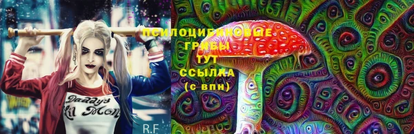 a pvp Богданович